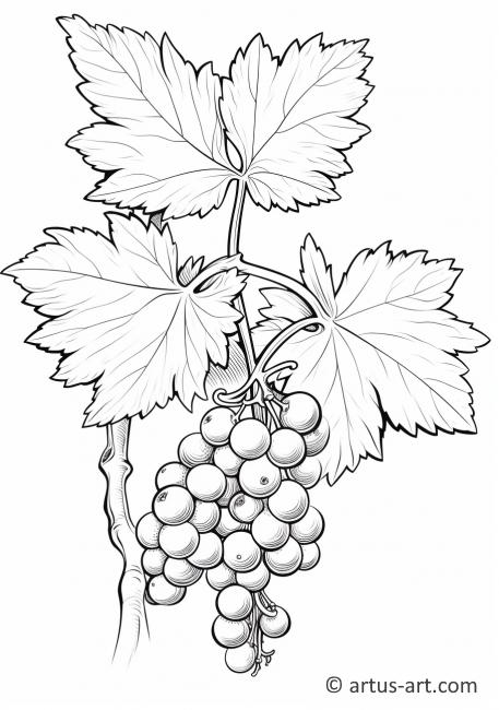 Gooseberry Jelly Coloring Page